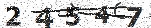 تصویر امنیتی