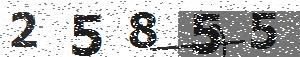 تصویر امنیتی