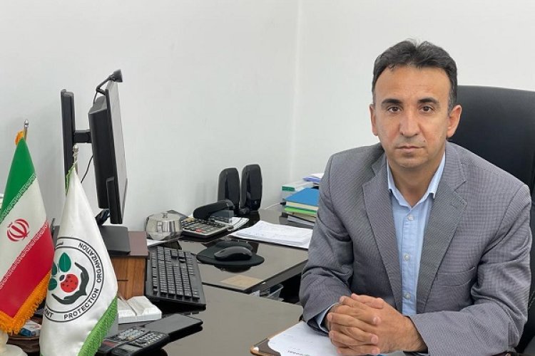 سطح مبارزه با ملخ به 5500 هکتار رسید